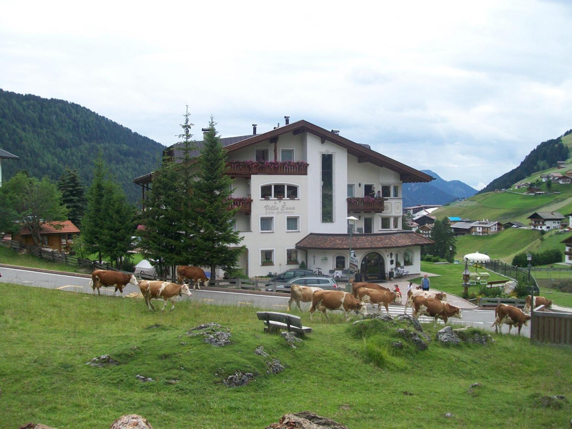 Garnì Villa Erna Selva di Val Gardena Exteriör bild